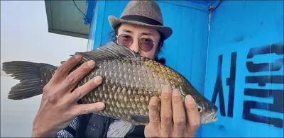 18.04.03 송전지 서울집 조황