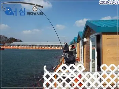 11월09일 어심바다낚시터조황