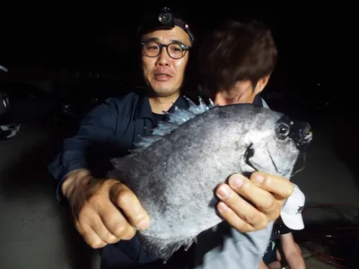 6월24일 어심바다낚시터조황 