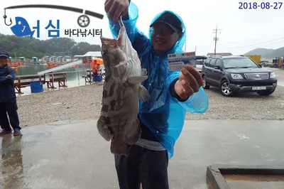 8월28일 어심바다낚시터조황