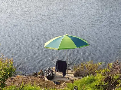 안성죽산장계지조항전경입니다