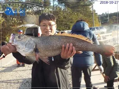 10월 27일 어심바다낚시터조황