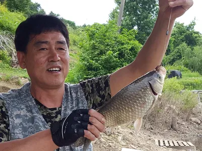 안성죽산장계지조항전경입니다