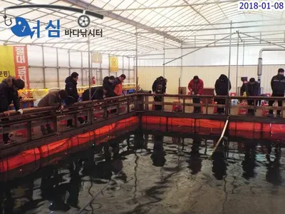 1월08일 어심바다낚시터조황