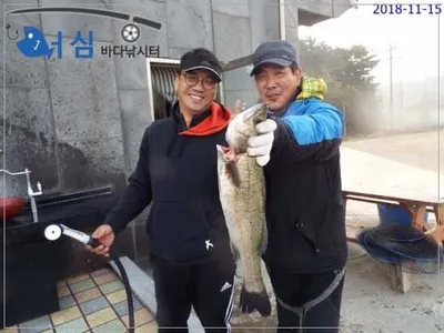11월15일 어심바다낚시터조황