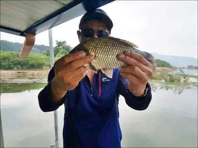 17.09.28 송전지 서울집 조황