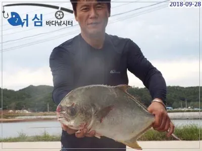 9월28일어심바다낚시터조황