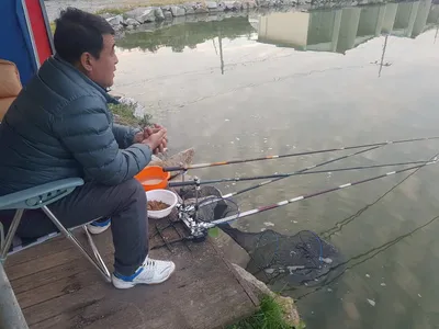 10  월  16일  경기도 안성 거청낚시터 붕어조황