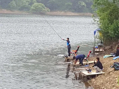 안성죽산장계지조항전경입니다