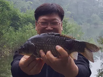 안성죽산장계지조항전경입니다