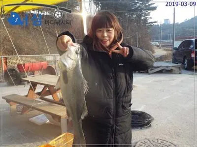 3월9일 어심바다낚시터조황