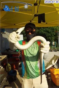 7월30일어심바다낚시터조황