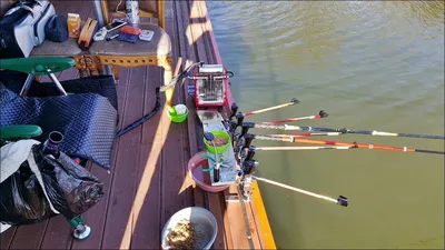 18.03.10 송전지 서울집 조황