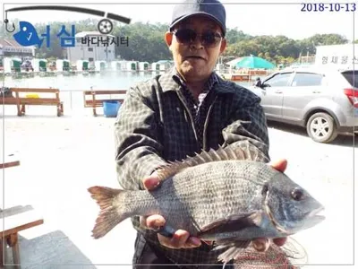 10월13일 어심바다낚시터조황