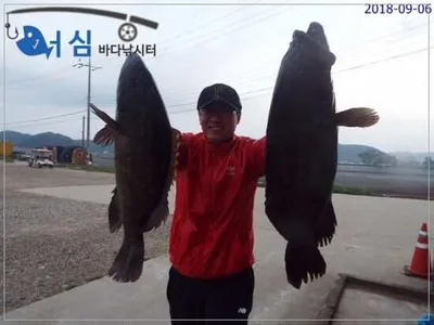 9월6일 어심바다낚시터조황