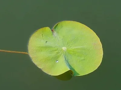 아산 명품 월랑낚시터 6월 첫번째 조황이야기입니다..^^