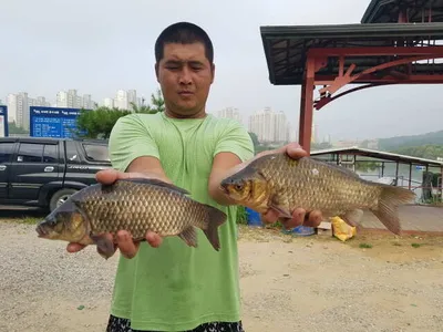 아산 명품 월랑낚시터 7월 마지막 조황이야기입니다...^^
