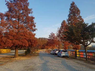 11  월  14   일  경기도 안성 거청낚시터 붕어조황