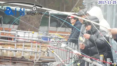 11월25일어심바다낚시터조황(노지및하우스)