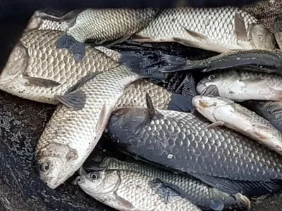 아름다은계곡속에자리잡은곳