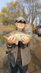 아산 명품 월랑낚시터 11월 마지막 조황 이야기입니다..^^