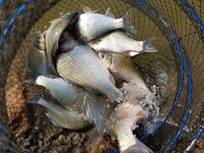 아름다운장계지에서