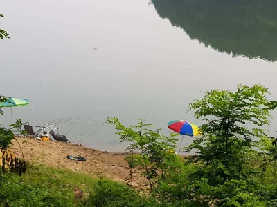 아름다운장계지에서