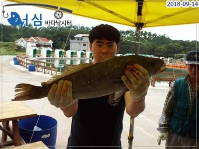 9월14일 어심바다낚시터조황