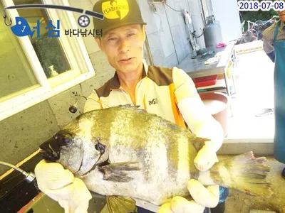 7월8일어심바다낚시터조황