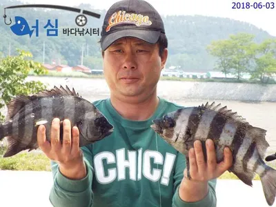   6월3일 어심바다낚시터조황