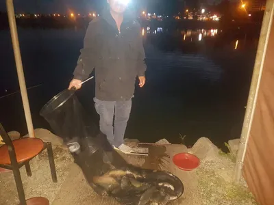 10  월  03일  경기도 안성 거청낚시터 붕어조황