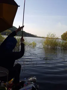 안성죽산장계지조항전경입니다