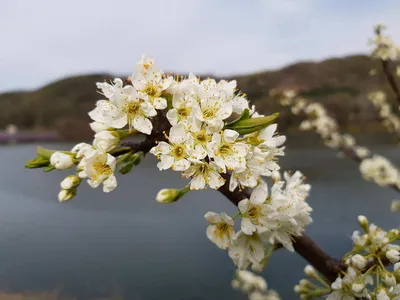 아름다운장계지에서