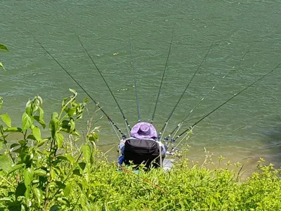 아름다운장계지에서