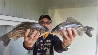 18.04.14 송전지 서울집 조황