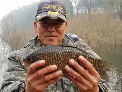 깊은계곡속에자리잡은장계지에서