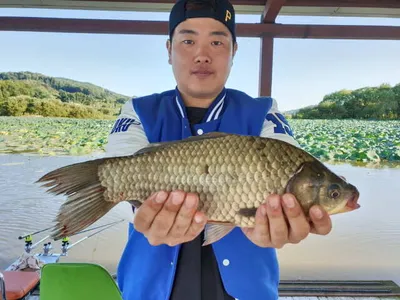 아산 명품 월랑낚시터 9월 첫번째 조황이야기입니다...^^