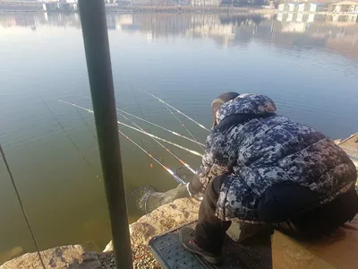 12  월  04   일  경기도 안성 거청낚시터 붕어조황