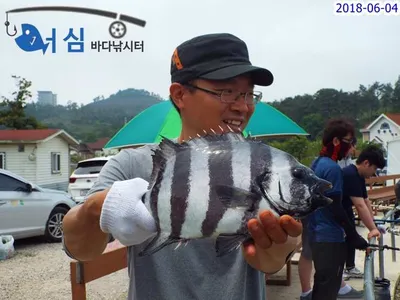 6월4일 어심바다낚시터조황