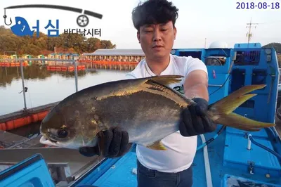 8월18일어심바다낚시터조황