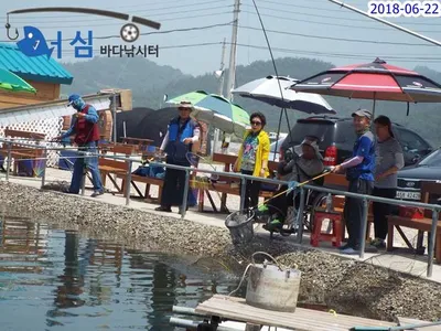 6월22일 어심바다낚시터조황