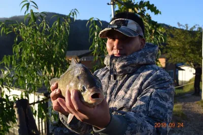 제5회용담의밤과용담지풍경