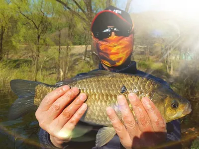 안성죽산장계지조항전경입니다