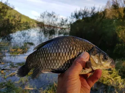 아름다은계곡속에자리잡은곳