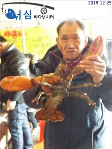 12월25일어심바다낚시터조황 