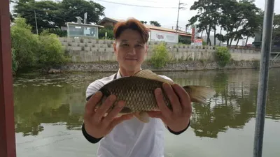 아산 명품 월랑낚시터 6월 네번째 조황이야기입니다...^^