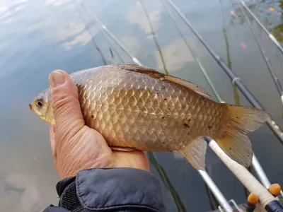 깊은계곡속에자리잡은장계지에서