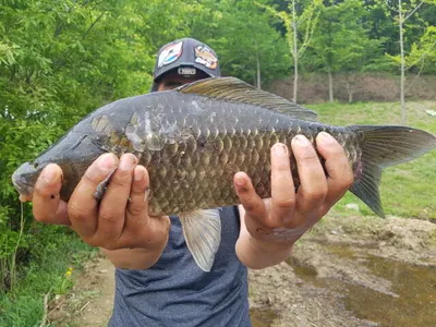 아산 월랑낚시터 5월 첫쭈 주중조황 소식입니다..^^