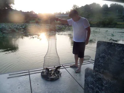 폭염속에도  이어지는 호조황!!!오목낚시터