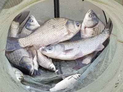 아름다운장계지에서